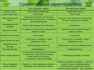 Как выявить биоробота среди людей? Какие признаки, отличия, особенности?