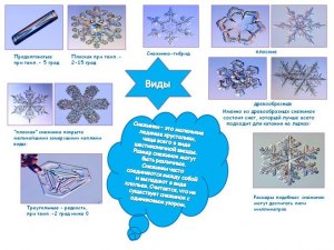 Какая из трёх форм снежинок на рисунке (см.) встречается в природе? Почему?