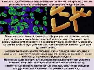 Какие микроорганизмы способны накапливать драгметаллы в своих оболочках?