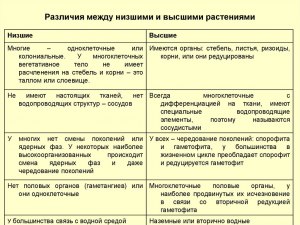 Какие различия между функциями высшего и низшего порядка?