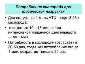 Потребление воды в покое и при физ. нагрузках - в чём разница?