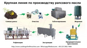 Как получить глицериды из рапсового масла?