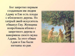 Почему существует достаточно док-в о пещерных людях,но нет об Адаме и Еве?