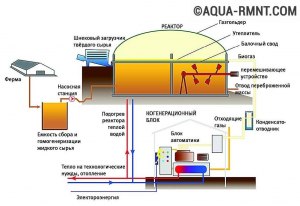 Как из корвьих отходов жизнедеятельности производить метан, биогаз?