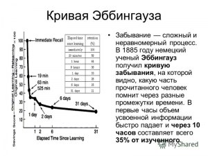 Что такое «кривая забывания»?