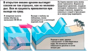 «Серебряное цунами»- что это ? Что за термин «серебряное цунами»?