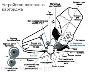 Что такое коротрон? Какое происхождение имеет слово "коротрон"?