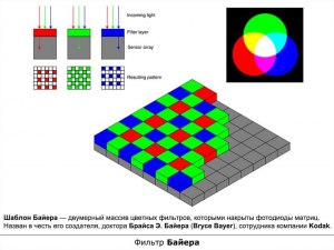 Почему в элементарной ячейке Байеровского светофильтра два зеленых участка?