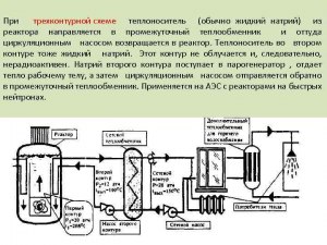 Где в реакторе на быстрых нейтронах жидкий натрий передает тепло 2 контуру?