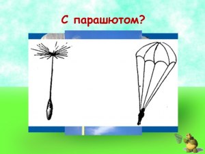 Как соотнести изобретения человека с объектами природы (см.)?