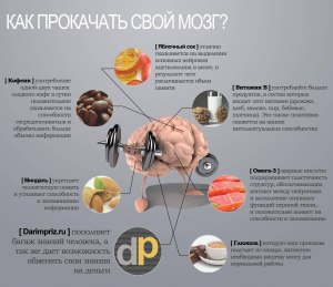 Как разогнать работу мозга на 100% и чем при этом "запитать" мозг?