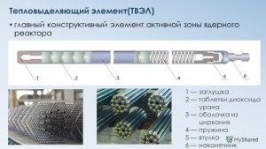 Кому принадлежит идея вертикального расположения ТВЭЛов в ядерном реакторе?