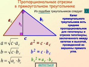 Пропорциональные отрезки в прямоугольном треугольнике.