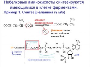 Как синтезировать аминокислоты из воздуха?