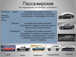 Разделяются ли автомобили по полу? На каком основании?