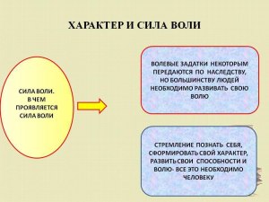 Зачем человеку воля?