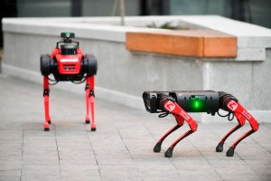 Что за собака-робот появится в Московской Госинспекции по недвижимости?