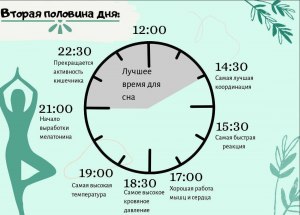 Является ли оптимальной одинаковая продолжительность дня для человека?