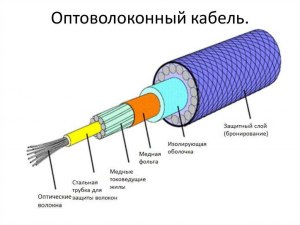 Чем занимаются астрофизики?