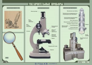 Как называется самый простой увеличительный прибор для изучения растений?