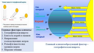 Как близость к экватору влияет на рост человека и животных?