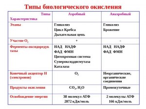 Как называется бескислородное биологическое окисление?