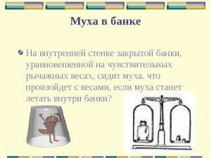 На весах банка с летающей мухой. Как изменится вес, если муха сядет на дно?