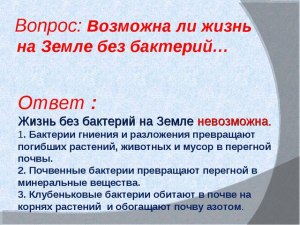 Возможна ли жизнь на земле без микробов?