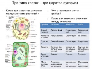 Биология. Какие утверждение о цвете клеток верны (см.)? Почему?