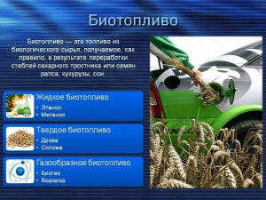 Какие сейчас есть виды экологического топлива, которые можно использовать?