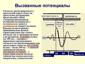 Что такое опережающие потенциалы? Чем объясняется их существование?