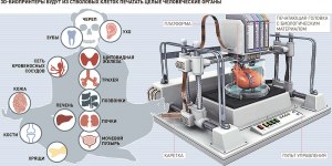 Из чего печатают биопечатники?