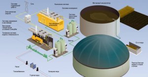 Что лишнее: биогаз, энергия солнца, природный газ, ...? Почему?