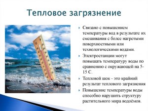 Чему способствует потепление воды водоёма вследствие теплового загрязнения?