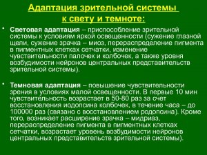 За какое время глаза человека адаптируются к темноте после свет. помещения?