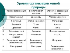 Кладоэндезис - что значит этот термин в биологии?