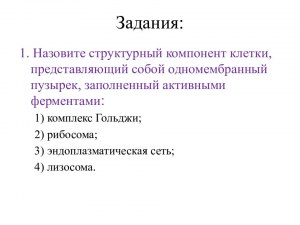 Какой компонент клетки представляет собой пузырек заполненный ферментами?