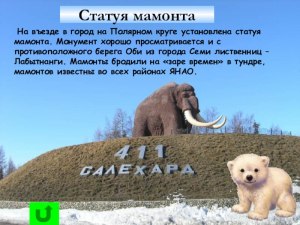 Как зовут мамонта из памятника высотой 10 метров при въезде в Салехард?