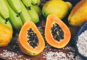 Может ли баклажан плодоносить бананами, а папайя - арбузами?