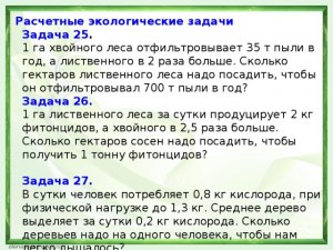 Сколько лиственного леса надо посадить для фильтрования 700 т пыли в год?