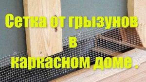 Какой сеткой и как защитить деревянные конструкции дома от мышей?