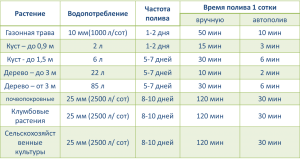 Как рассчитать количество воды для полива дерева?