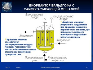 Сколько комаров загрузить в биореактор, чтобы получить орла?