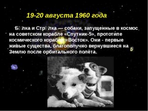 В каком возрасте можно огулять козу 1 й раз?