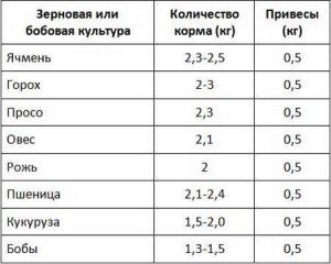 Можно ли давать овёс поросятам или нет, почему?