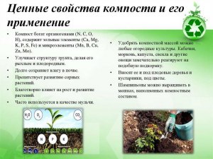 Перепревают ли семена сорняков в компостной куче?