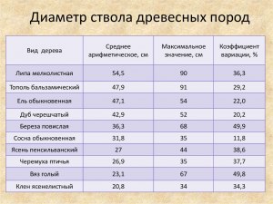 Как по диаметру дуба обыкновенного узнать его приблизительный возраст?