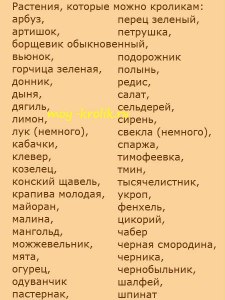 Можно ли кроликам давать газонную траву или нет, почему?