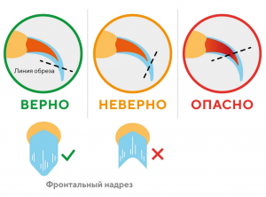 Как подстричь когти кошке, если она не даётся?