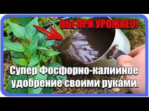 Как сделать фосфорно-калийное удобрение своими руками?